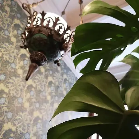 Maison Verte, Monument Historique * Roubaix