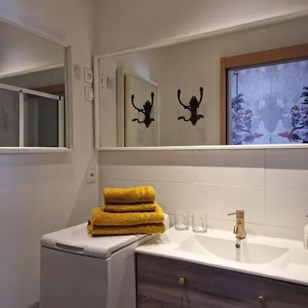 Apartament Maison Verte, Monument Historique