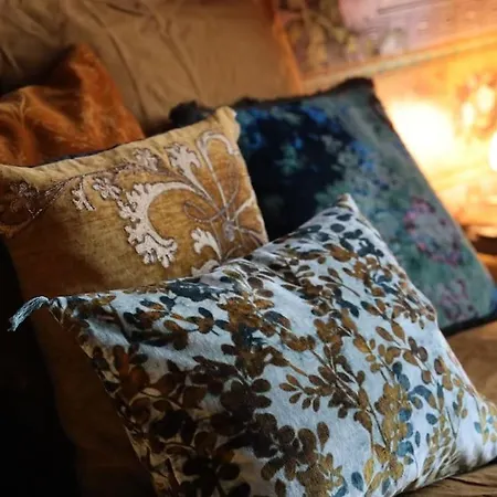 Maison Verte, Monument Historique Apartament